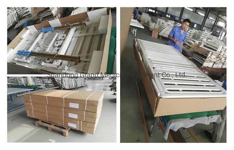 Cheap Price Stainless Steel Head Strip Type Double Shake Hospital Patient Bed