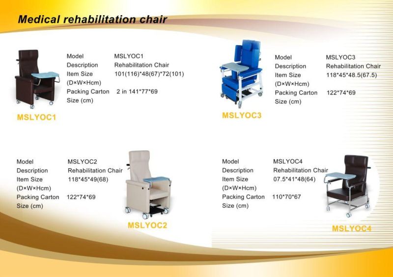 Aged Care Chair for Home Use-Mslyoc4