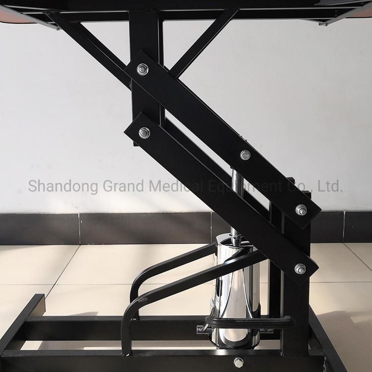 The Most Popular Cost-Effective Electric Lifting Pet Equipment Black Color Pet Grooming Table for Pet Cleaning