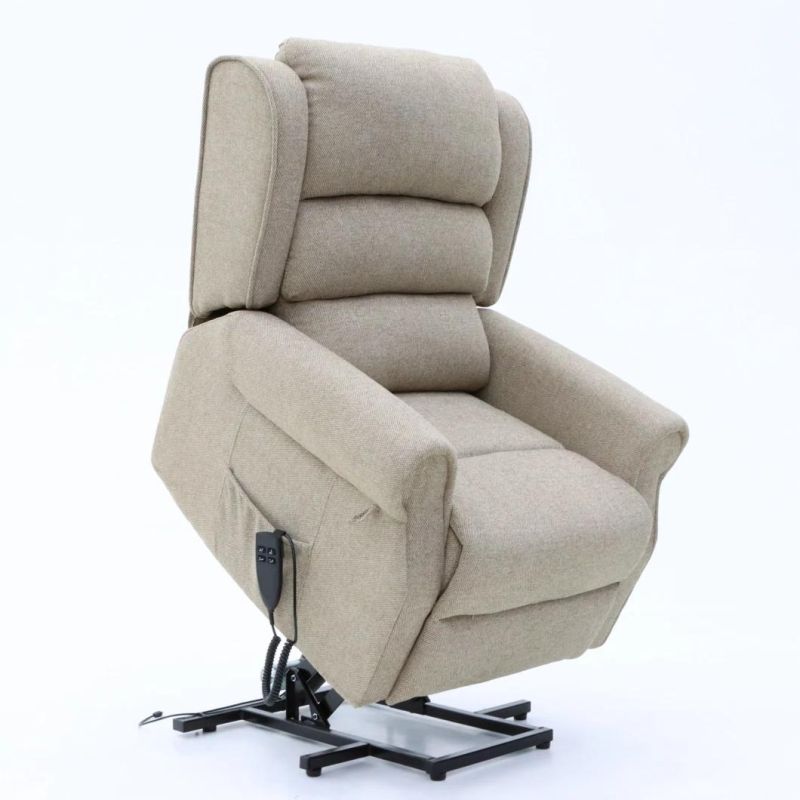 Geeksofa Elderly Multi Position Electric Recliner Power Lift Chair