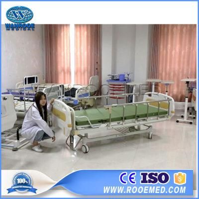 Bam201 Medical Multifunction Manual 2 Crank Adjustable Patient Nursing Sofa Bed