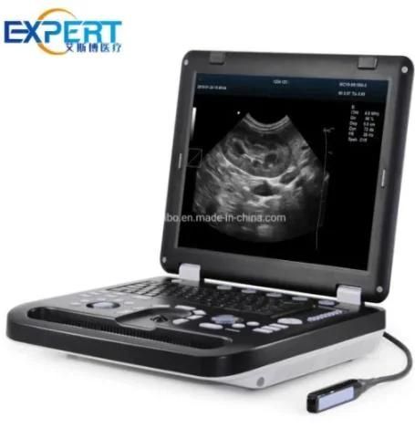Vet Laptops Ultrasound Scanner Dcu50 Portable Ultrasound Scanner for Vet Moniter Factory Price Hospital Medical Equipment Animal Handheld Vet Color Doppler Port