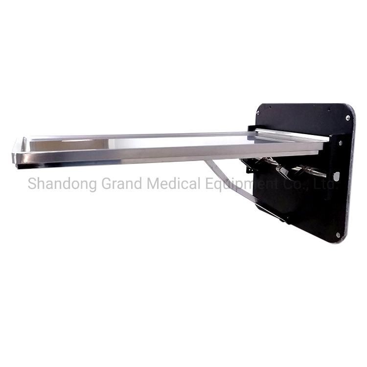 Wall-Mounted Portable Pet Clinic Equipment Folding Examination Table