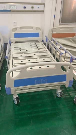 Two Functions Electric Hospital Bed