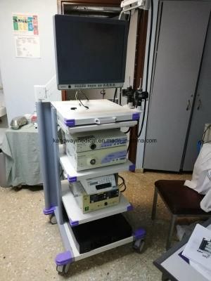 Hospital Furniture Mobile Working Station Endoscope Trolley Cart Endoscopic Cart