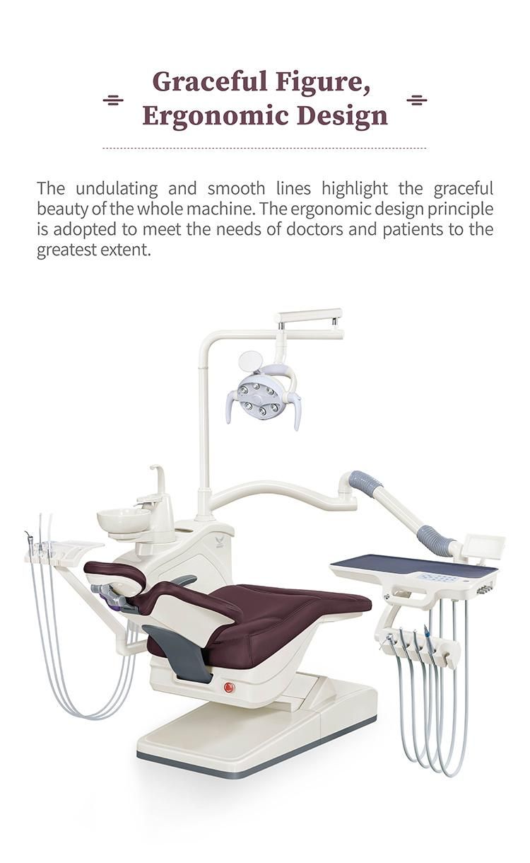 Dental Model Jaws Luxury Dental Unit
