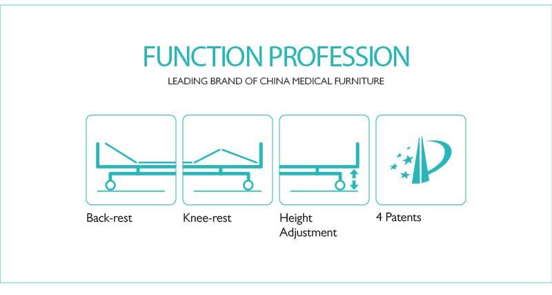 D5w5s-Sh Cheap Adjustable Professional Electric Medical Clinic ICU Bed with Side Rails