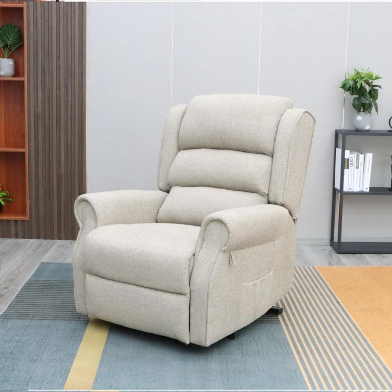 Geeksofa Elderly Multi Position Electric Recliner Power Lift Chair