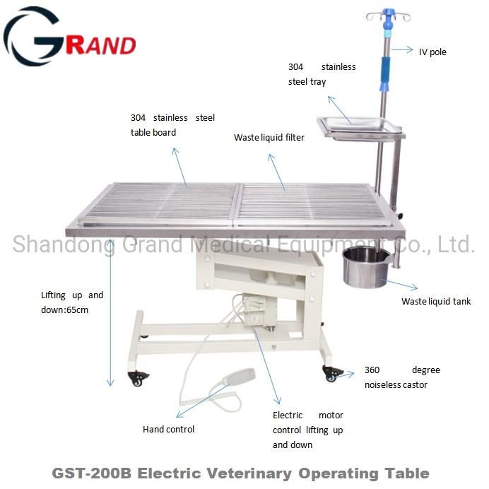 Veterinary Instrument Animal Equipment Electric Temperature Control Veterinary Delivery Bed Surgery Operating/Operation Examination Table Clinic Stainless Steel